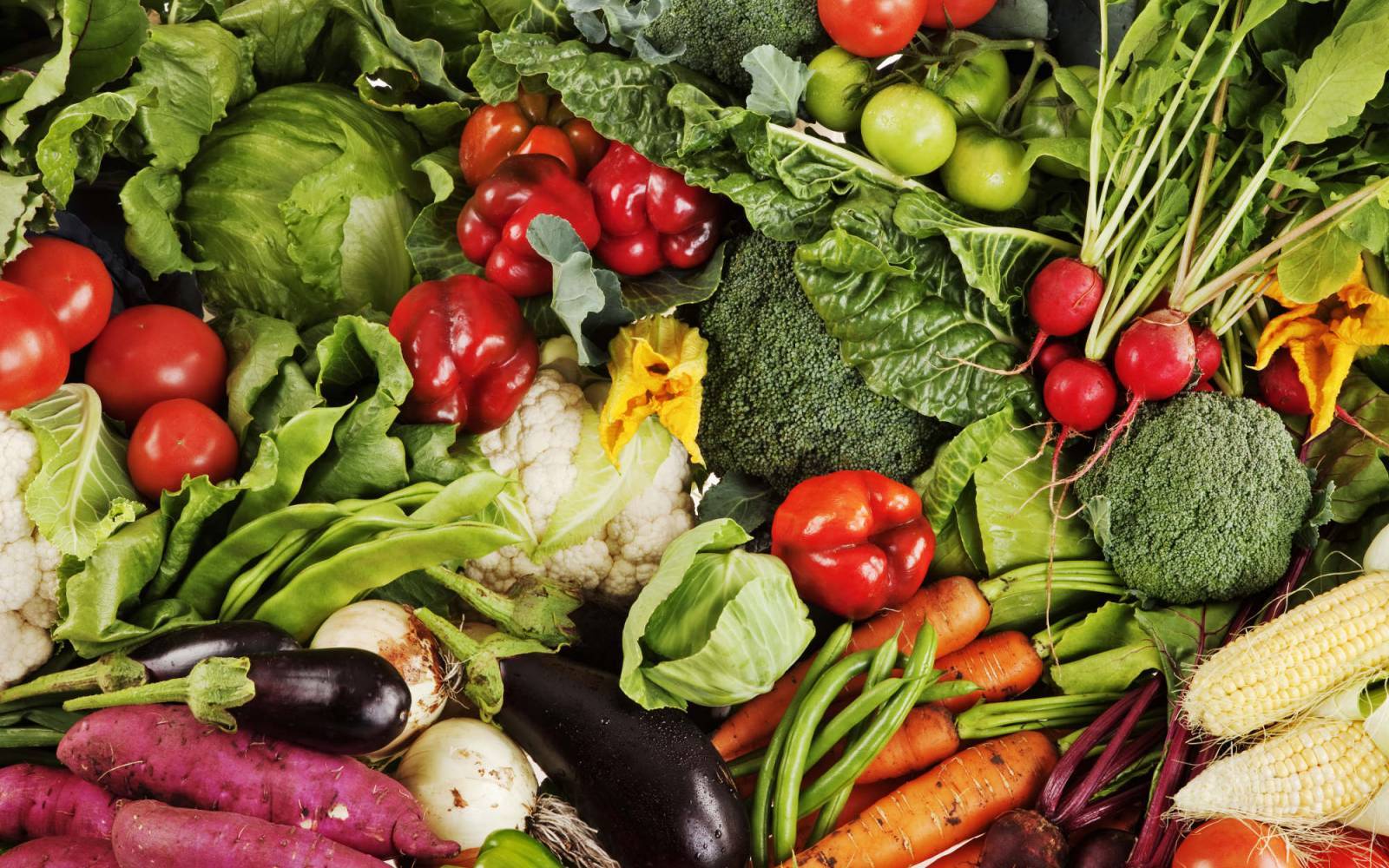 WWF - Gaspillage alimentaire